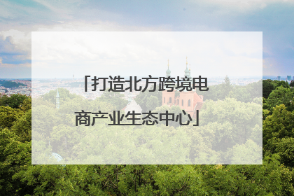 打造北方跨境电商产业生态中心