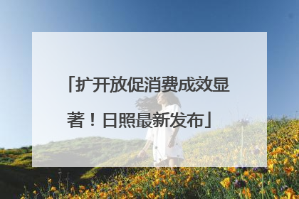 扩开放促消费成效显著！日照最新发布