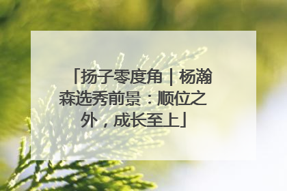 扬子零度角｜杨瀚森选秀前景：顺位之外，成长至上