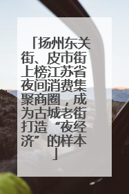 扬州东关街、皮市街上榜江苏省夜间消费集聚商圈，成为古城老街打造“夜经济”的样本