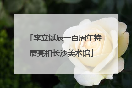 李立诞辰一百周年特展亮相长沙美术馆