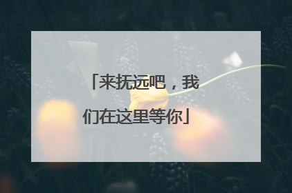 来抚远吧，我们在这里等你