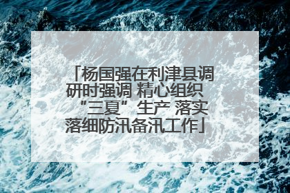 杨国强在利津县调研时强调 精心组织“三夏”生产 落实落细防汛备汛工作