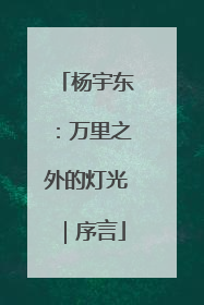 杨宇东：万里之外的灯光｜序言
