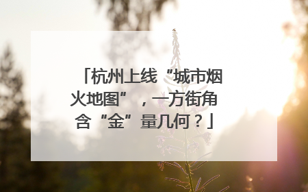 杭州上线“城市烟火地图”，一方街角含“金”量几何？