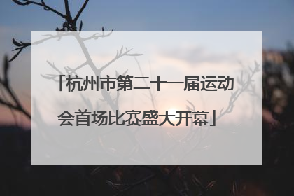 杭州市第二十一届运动会首场比赛盛大开幕