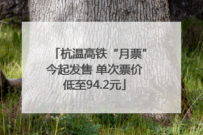杭温高铁“月票”今起发售 单次票价低至94.2元