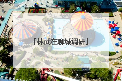 林武在聊城调研