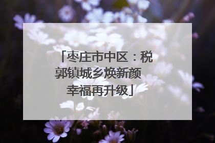枣庄市中区：税郭镇城乡焕新颜 幸福再升级