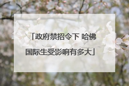 政府禁招令下 哈佛国际生受影响有多大