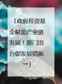 政府投资基金赋能产业链发展！厦门出台促发展措施→
