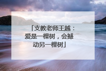 支教老师王越：爱是一棵树，会撼动另一棵树