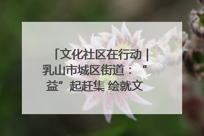 文化社区在行动｜乳山市城区街道：“益”起赶集 绘就文化社区新图景