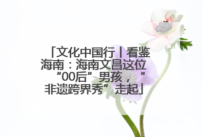 文化中国行丨看鉴海南：海南文昌这位“00后”男孩，“非遗跨界秀”走起
