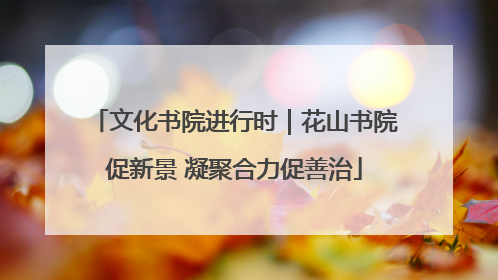 文化书院进行时｜花山书院促新景 凝聚合力促善治