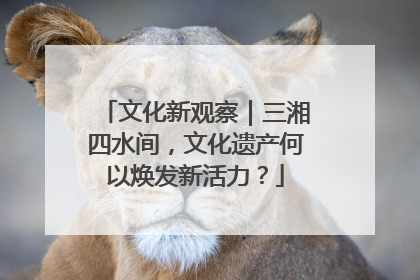 文化新观察｜三湘四水间，文化遗产何以焕发新活力？
