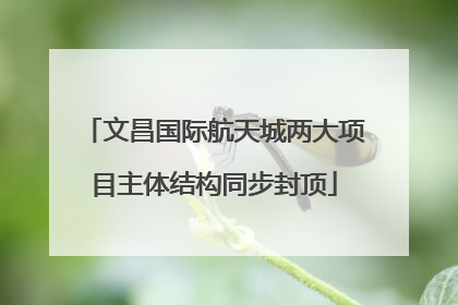 文昌国际航天城两大项目主体结构同步封顶