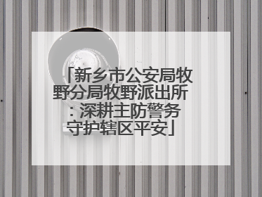 新乡市公安局牧野分局牧野派出所：深耕主防警务 守护辖区平安