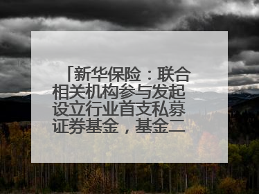 新华保险：联合相关机构参与发起设立行业首支私募证券基金，基金二期200亿元已募集完毕