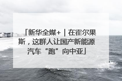 新华全媒+｜在霍尔果斯，这群人让国产新能源汽车“跑”向中亚