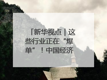 新华视点｜这些行业正在“爆单”！中国经济活力密码
