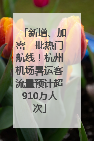 新增、加密一批热门航线！杭州机场暑运客流量预计超910万人次