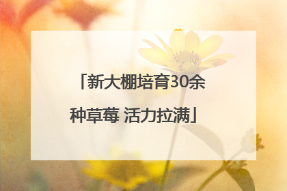 新大棚培育30余种草莓 活力拉满