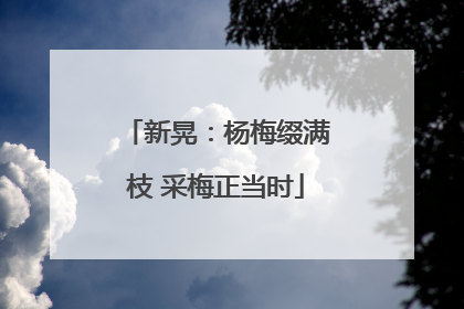 新晃：杨梅缀满枝 采梅正当时