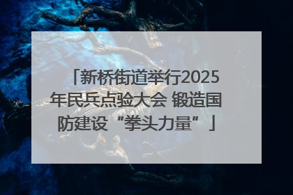 新桥街道举行2025年民兵点验大会 锻造国防建设“拳头力量”