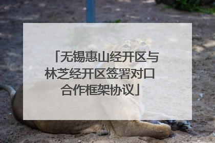 无锡惠山经开区与林芝经开区签署对口合作框架协议
