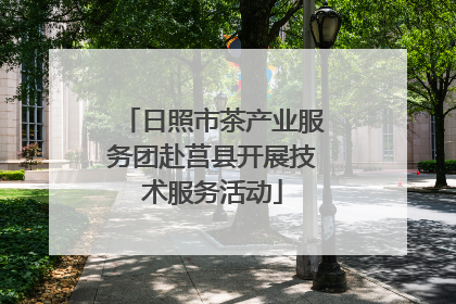 日照市茶产业服务团赴莒县开展技术服务活动