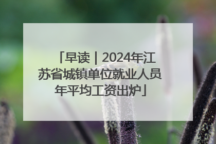 早读｜2024年江苏省城镇单位就业人员年平均工资出炉