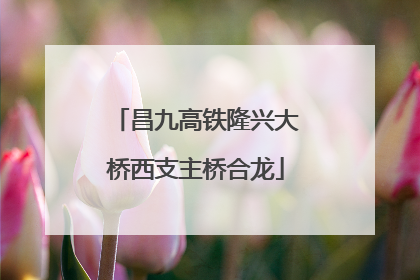 昌九高铁隆兴大桥西支主桥合龙