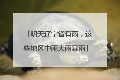 明天辽宁省有雨，这些地区中雨大雨暴雨