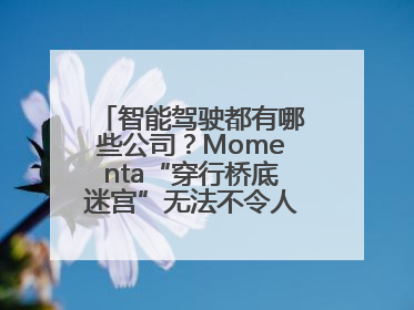 智能驾驶都有哪些公司？Momenta“穿行桥底迷宫”无法不令人印象深刻！