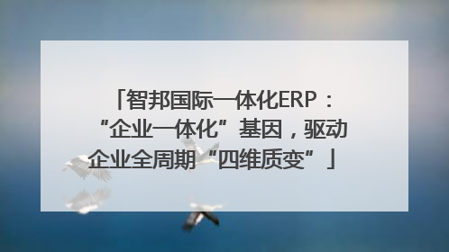 智邦国际一体化ERP：“企业一体化”基因，驱动企业全周期“四维质变”