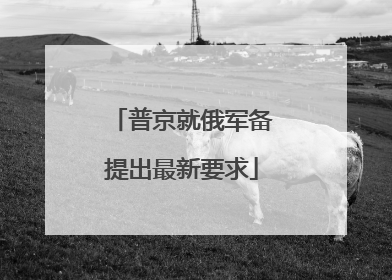 普京就俄军备提出最新要求