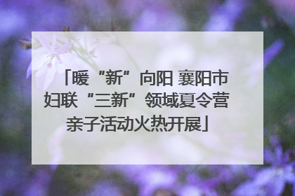 暖“新”向阳 襄阳市妇联“三新”领域夏令营亲子活动火热开展