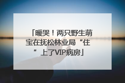 暖哭！两只野生萌宝在抚松林业局“住”上了VIP病房