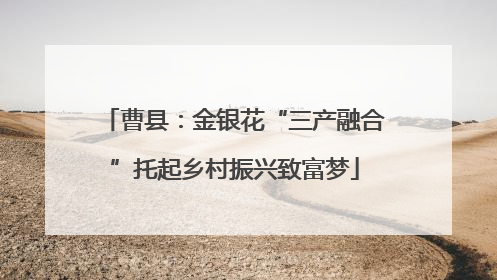 曹县：金银花“三产融合”托起乡村振兴致富梦