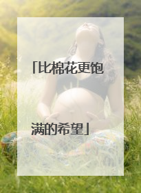 比棉花更饱满的希望