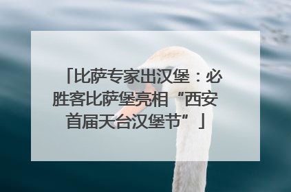 比萨专家出汉堡：必胜客比萨堡亮相“西安首届天台汉堡节”