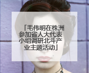 毛伟明在株洲参加省人大代表小组调研北斗产业主题活动