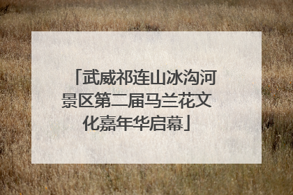 武威祁连山冰沟河景区第二届马兰花文化嘉年华启幕