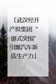 武汉经开产投集团“链式突围”引燃汽车新质生产力