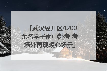 武汉经开区4200余名学子雨中赴考 考场外再现暖心场景