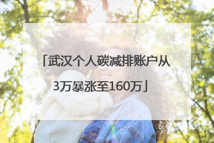 武汉个人碳减排账户从3万暴涨至160万