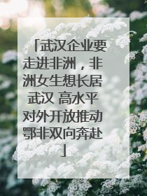 武汉企业要走进非洲，非洲女生想长居武汉 高水平对外开放推动鄂非双向奔赴