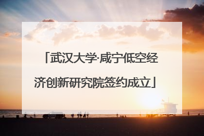 武汉大学·咸宁低空经济创新研究院签约成立