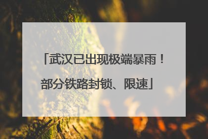 武汉已出现极端暴雨！部分铁路封锁、限速